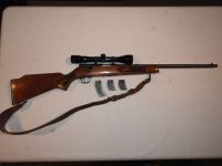 Firearms - Outside Entry